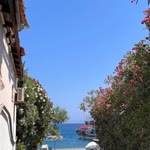 Rabia