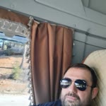 Şahin