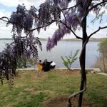Zeynep