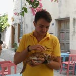 Umut