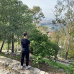 Çınar