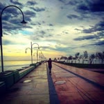 Selda