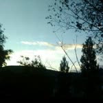 Rabia