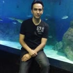 Mesut