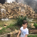 Mustafa