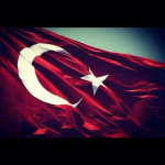 Tansel