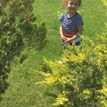 Elif