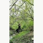 Burcu