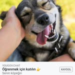 Mercan