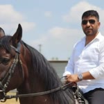 Serhat