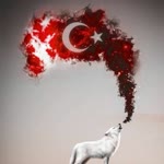 Mücahit