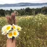 Büşra
