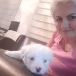 Özlem