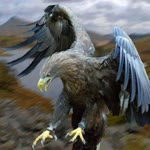 Erdal