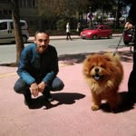 Gökhan