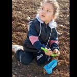 Ayşegül