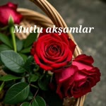 Doğan