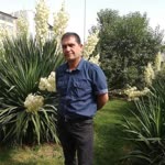 Talip