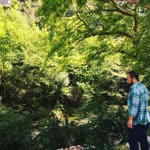 Erdal