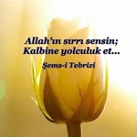 Gül