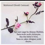 Yaseminali