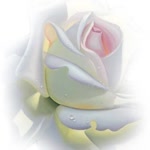 Feride