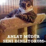 Eda