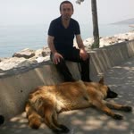 Haydar