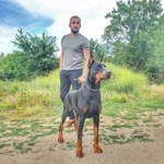 Caner