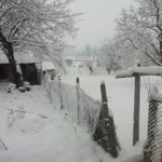 Süleyman