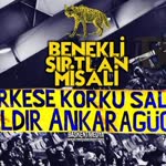 Özer