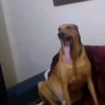 Eylül