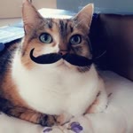 Filiz