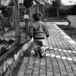 Bahar