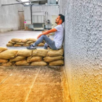 Feyzullah