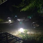 Özgün