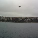 Mahmut