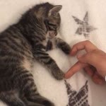 Su Karaca