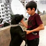 Fırat