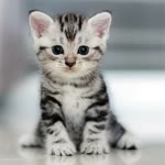 Beren