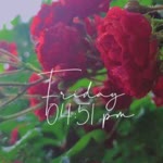 Elif