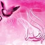 Zehra
