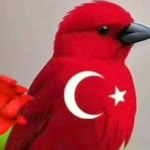 Durak