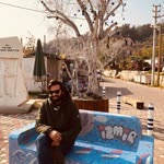 Ali