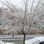 Gözde
