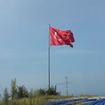 Tarık
