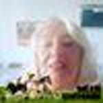 Emine