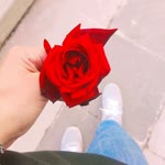 Hatice