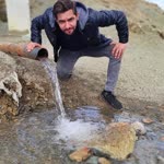 Şahin