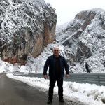 Arif